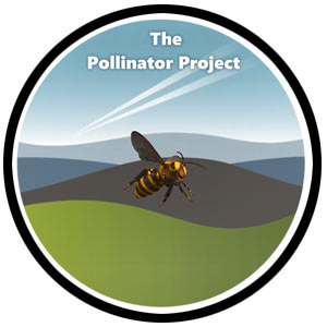Pollinator Program