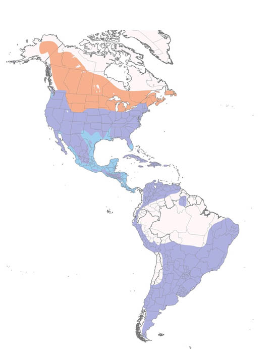 American Kestrel map