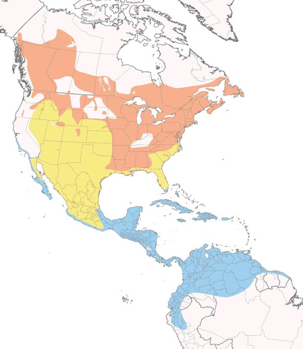 American Redstart map