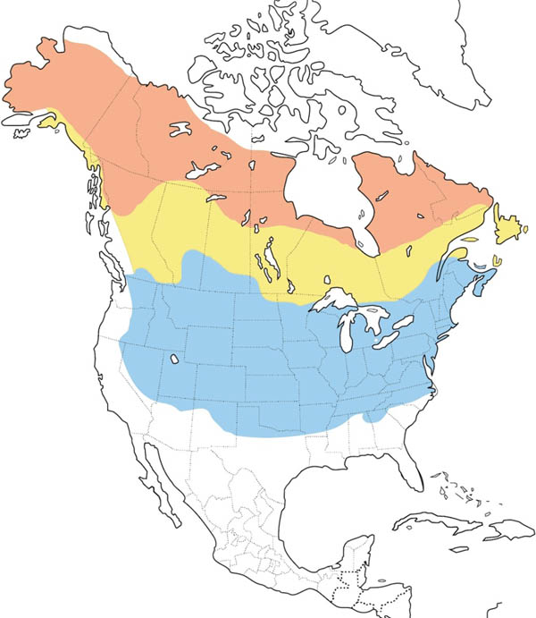American Tree Sparrow map