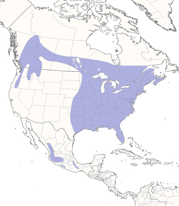 Barred Owl map