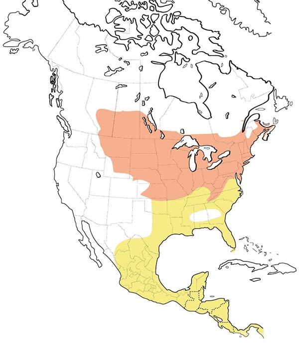 Black-billed Cuckoo map