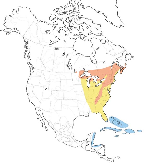 Black-throated Blue Warbler map