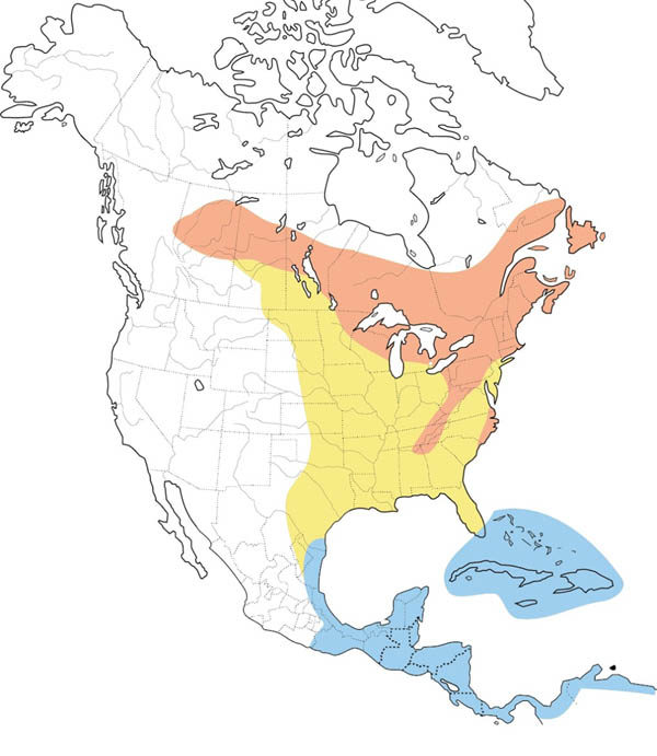Black-throated Green Warbler map