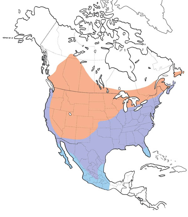 Brown-headed Cowbird map