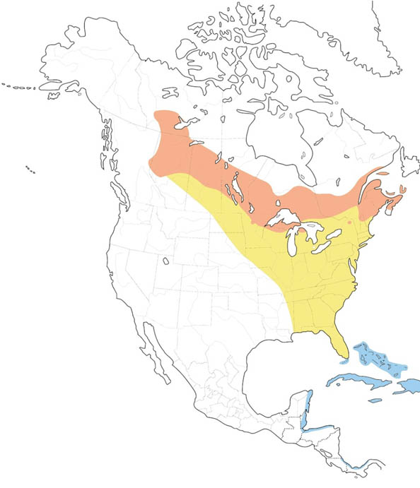 Cape May Warbler map