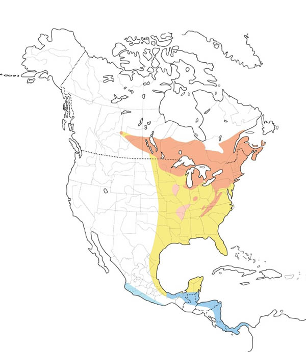 Chestnut-sided Warbler map