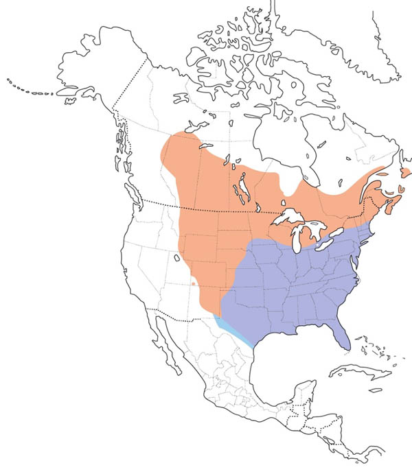 Common Grackle map