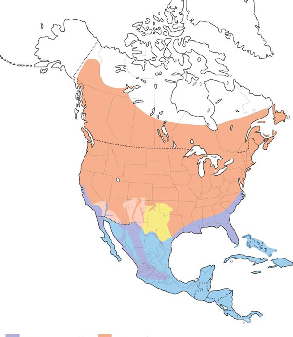 Common Yellowthroat map