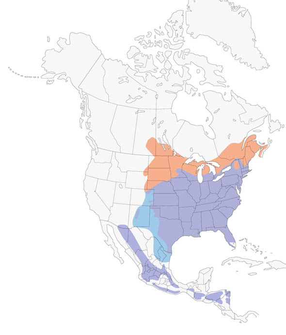 Eastern Bluebird map