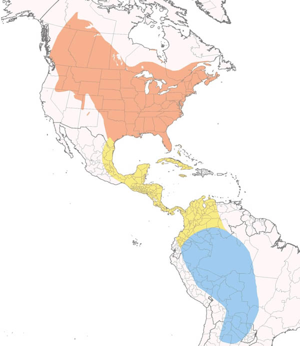 Eastern Kingbird map