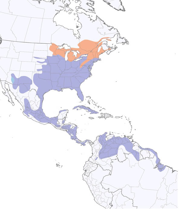Eastern Meadowlark map