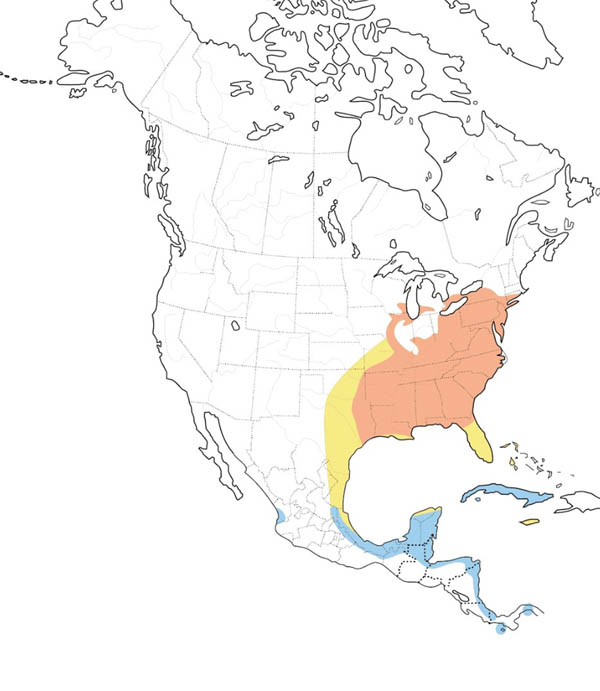 Hooded Warbler map