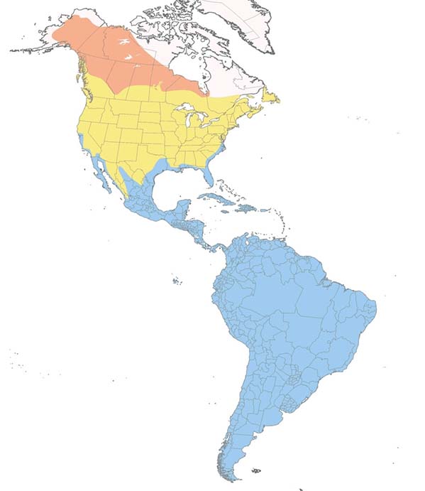 Lesser Yellowlegs map