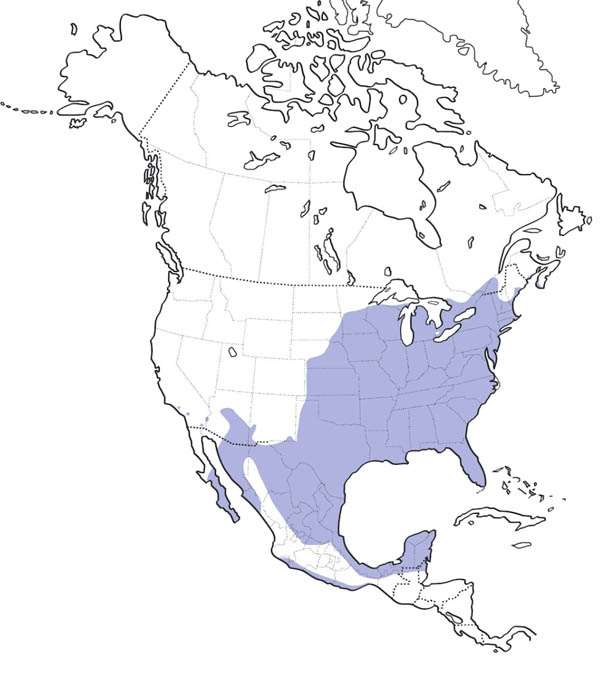 Northern Cardinal map