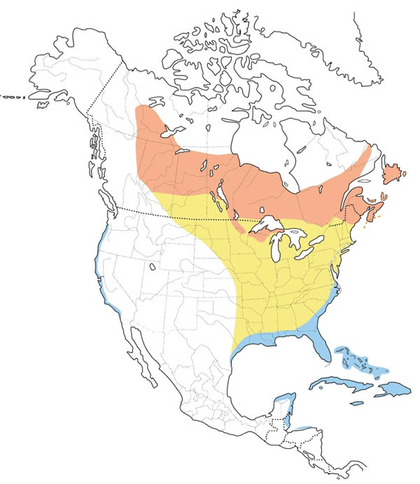 Palm Warbler map