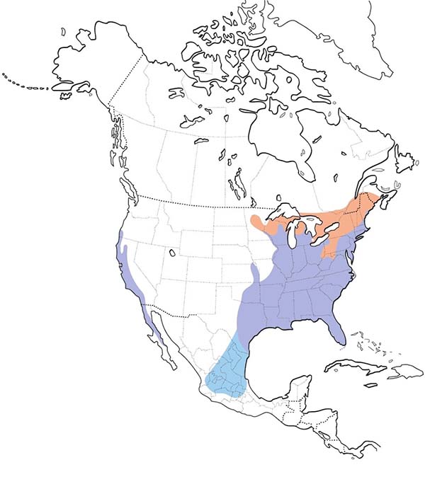 Red-shouldered Hawk map