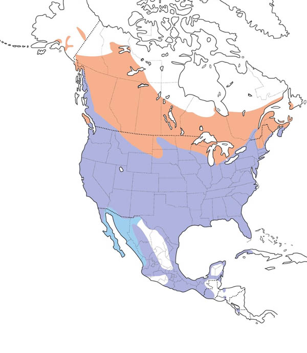 Red-winged Blackbird map