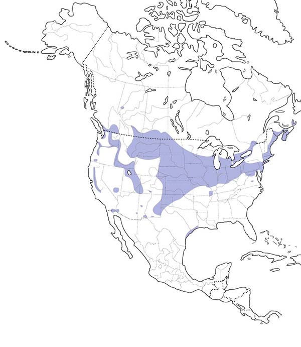 Ring-necked Pheasant map
