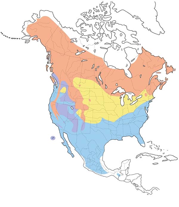 Ruby-crowned Kinglet map