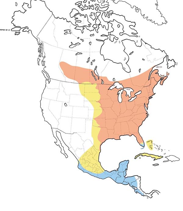 Ruby-throated Hummingbird map