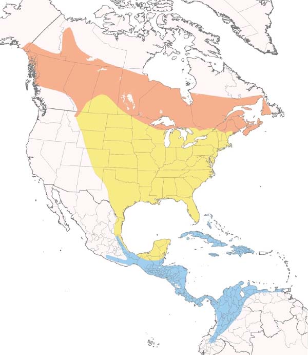 Tennessee Warbler map