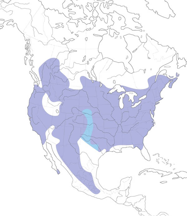 White-breasted Nuthatch map