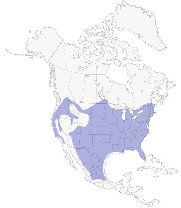Wild Turkey map