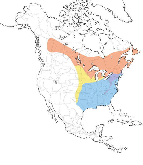 Winter Wren map