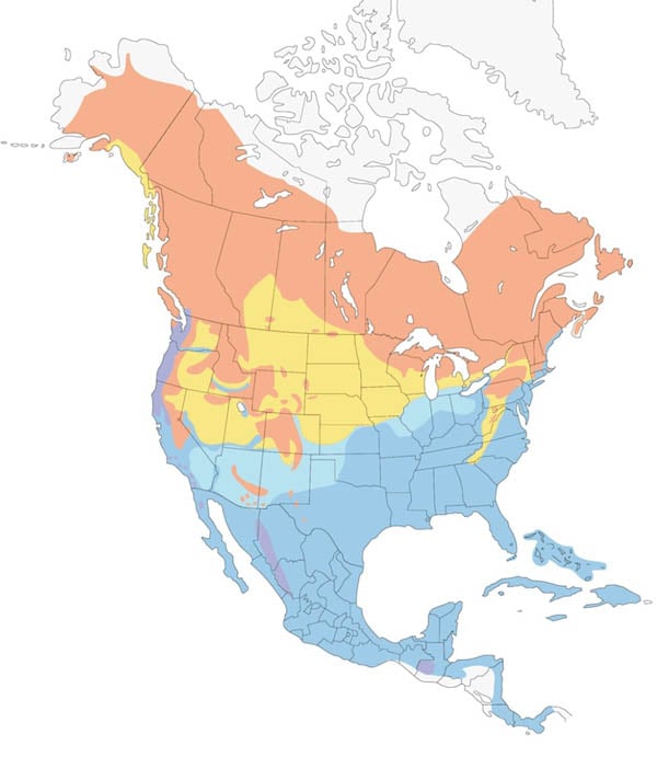 Yellow-rumped Warbler map