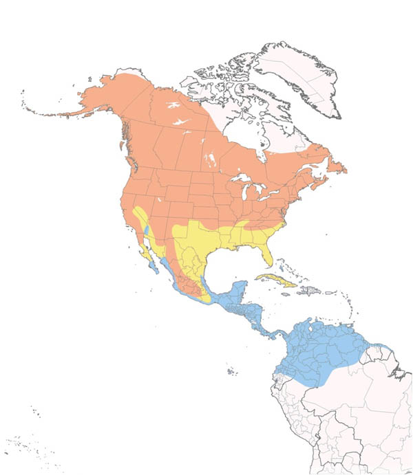 Yellow Warbler map